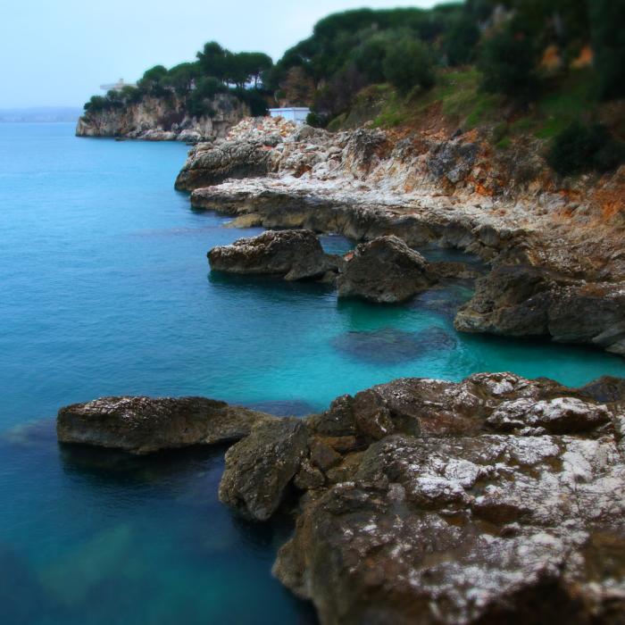 Speed Boat, Snorkeling in Karaburun-Sazan National Marine Park